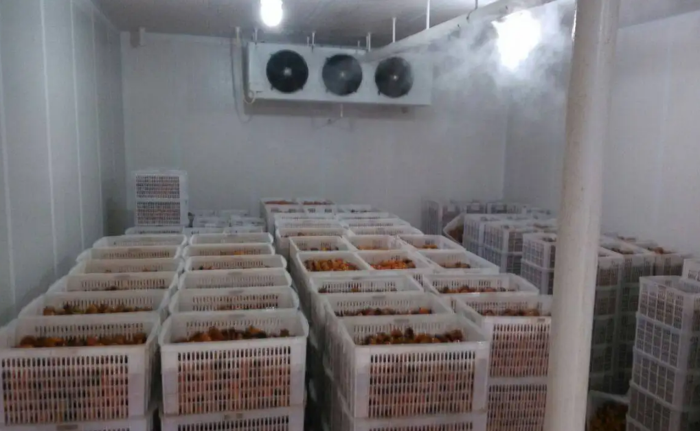 生鮮冷庫管理系統：專注于第三方生鮮冷庫管理